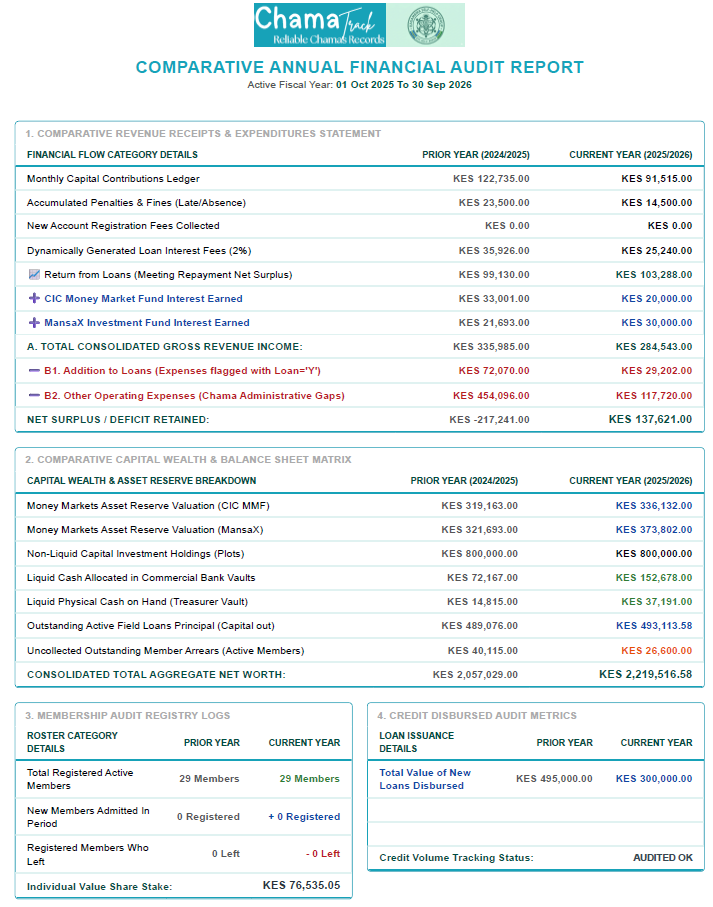 Sample annual audit report screenshot